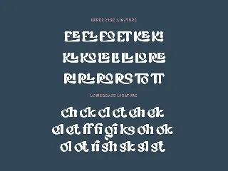 Morgian Soft Serif font