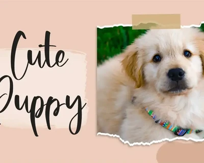 Puppylike - Cute Handwritten Font
