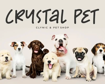 Cute Puppies Handwriting Font