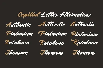 Pintenium Script font