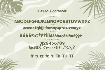 CALINO - Display Font