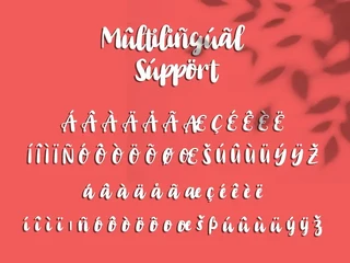 Babilonya - Modern Bold Script fonts