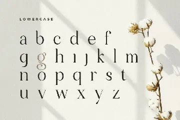 Amiora - Modern Unique Display Font