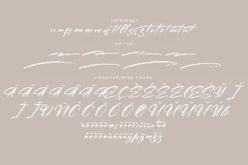 Hamstedam Brush Font