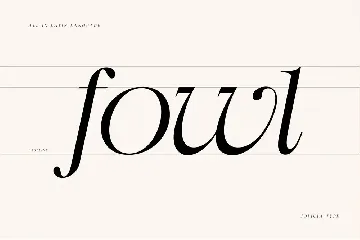 Swily Bright | Classy Font