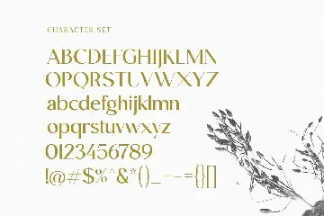 Rilano Serif Display Font