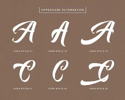 Auntekhno Script font