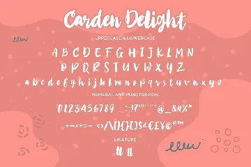 Carden Delight - Modern Bold Script fonts
