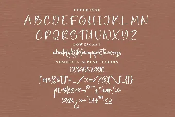 Happy Christiana Modern Handwritten Font