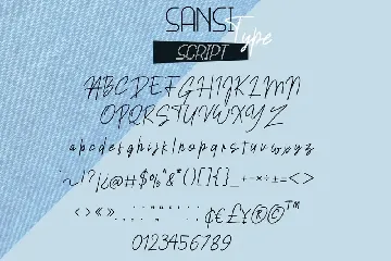 Sansi Type - Font Duo