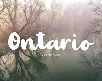 Palmera Brush Font