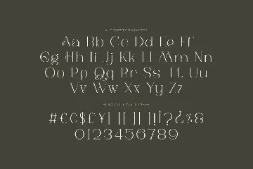 Dons Migock - Elegant Typefaces font