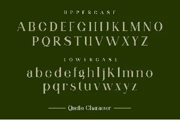 Qitello Ligature Serif Typeface font