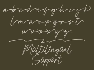 Baleono font