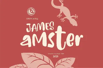 JAMES AMSTER - Display font