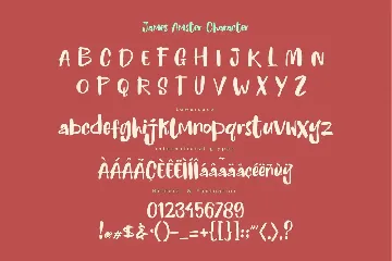 JAMES AMSTER - Display font