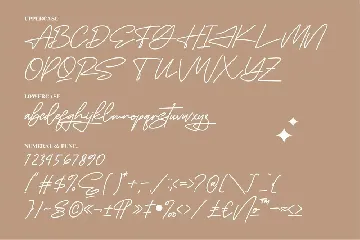 Futuristica Signature Monoline Signature Font