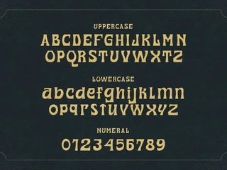 Romeda - Vintage Serif Typeface font