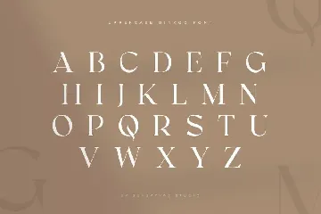 Ginkgo - Modern Classy Serif Font