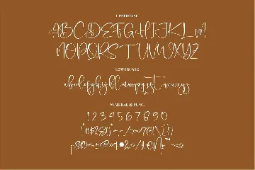 Delgonte Signature Font