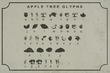 Apple Tree - Decorative Font