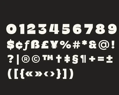 Bermia Display Fonts