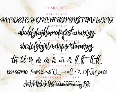 MATTHEO font