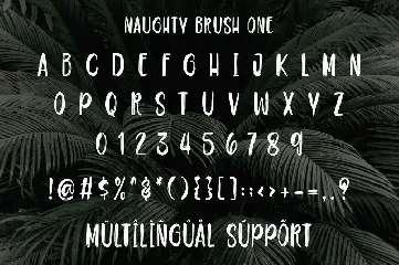 Naughty - Script brush font