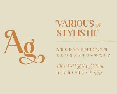 Vintage Serif Font