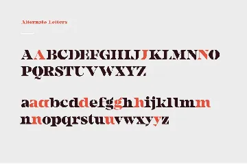 Camijo Display Serif Font