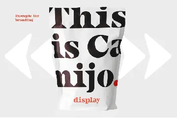 Camijo Display Serif Font