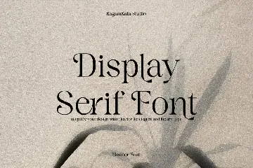 Eleanor - Modern Elegant Serif font