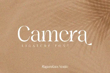 Eleanor - Modern Elegant Serif font