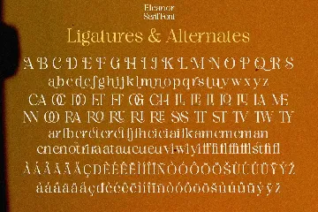 Eleanor - Modern Elegant Serif font