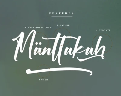 Victory Willkins Modern Script Font