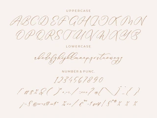 Anticka Whitnes Script Font