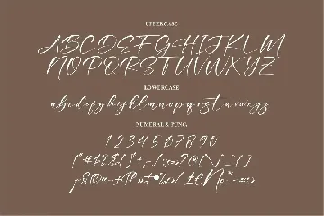 Bonefista Signature Modern Handwritten Font