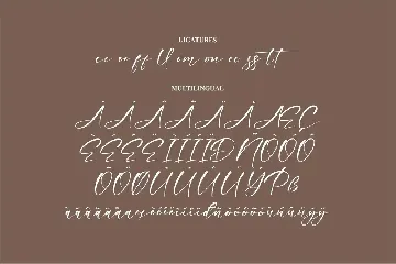 Bonefista Signature Modern Handwritten Font