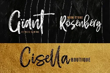 EFRISILLA - Handbrush font