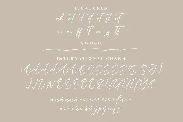 Delmate Fasteria Modern Signature Font