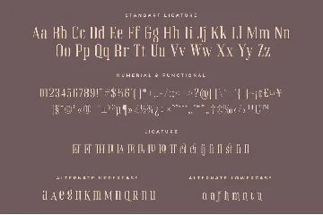 Rinella  Modern Serif font