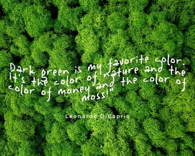Tropical Jungle font