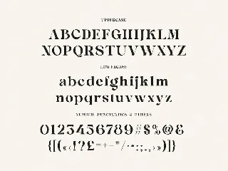 Better Sabrina Modern Serif font