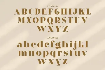Eloora Bold Serif font