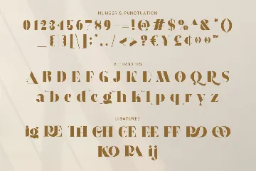 Eloora Bold Serif font