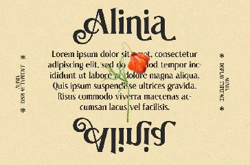 Alinia font