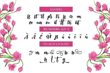 Aprillia Script font