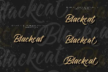 Blackcat Script // Regular and Extruded font