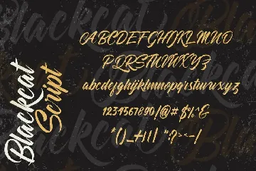 Blackcat Script // Regular and Extruded font