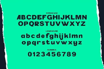 Fouiroll - Big Sans Font